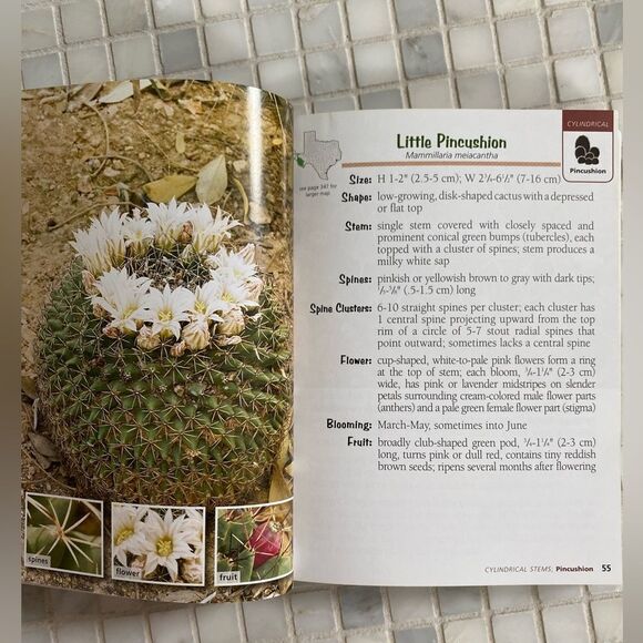 Cactus of Texas Field Guide - Picture 6 of 6